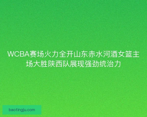 WCBA赛场火力全开山东赤水河酒女篮主场大胜陕西队展现强劲统治力